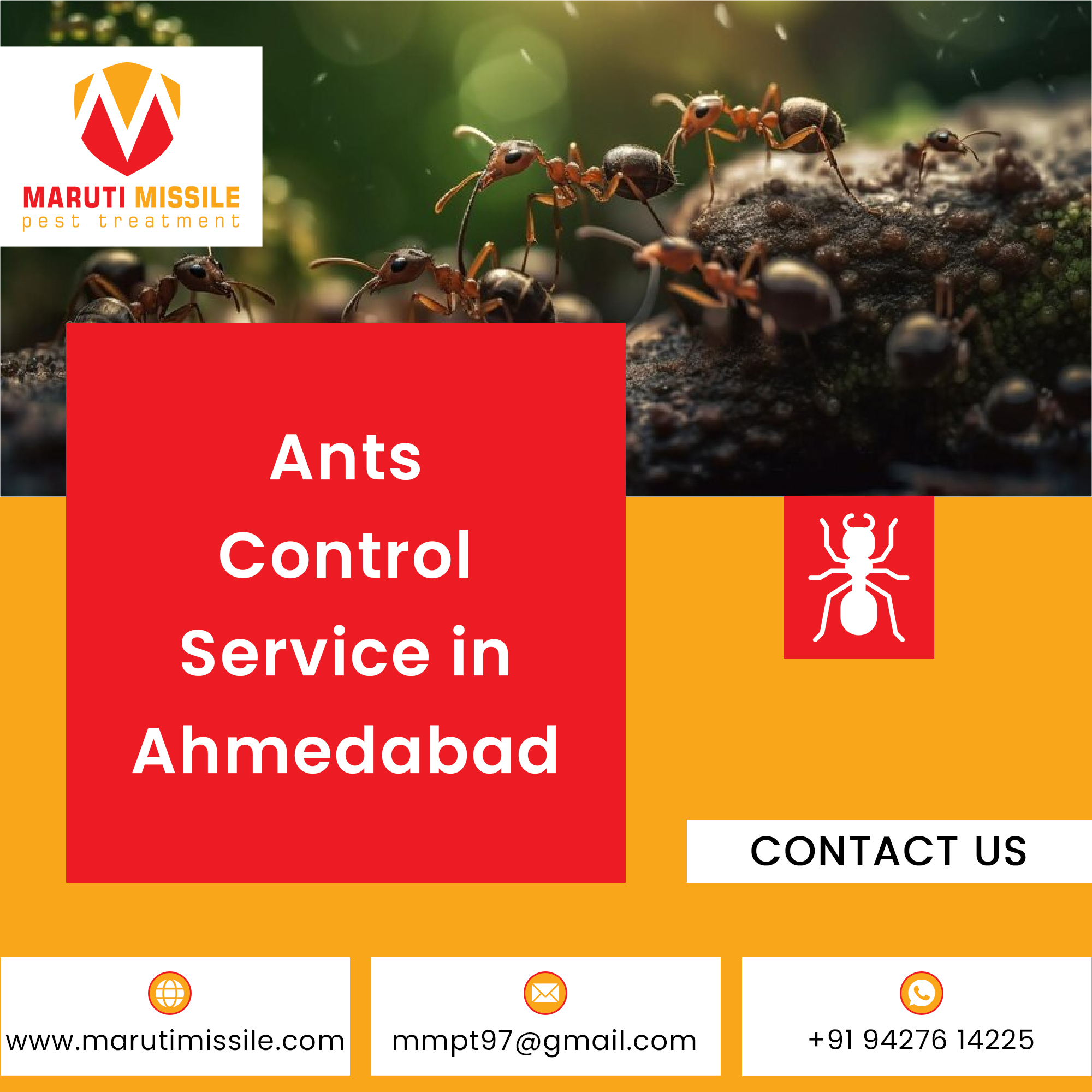 Pest Control Services Gandhinagar