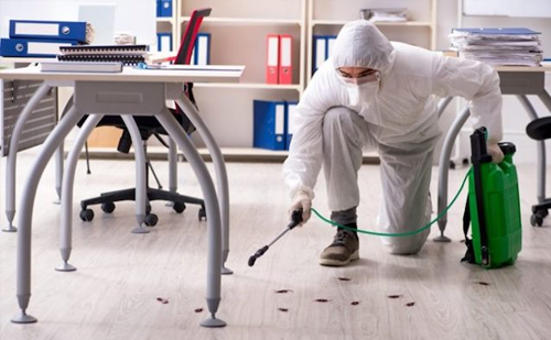 24/7 commercial pest control service Ahmedabad