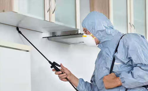 24-hour termite control service Ahmedabad