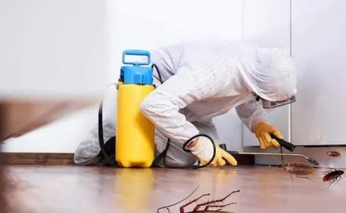 Best cockroach control service Ahmedabad