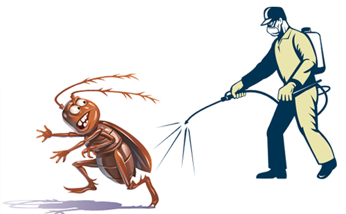 Cockroach infestation control service Ahmedabad