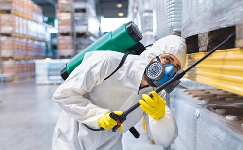 Commercial pest control service for hospitals Ahmedabad