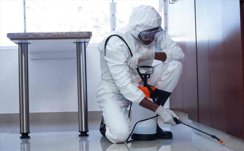 Commercial pest control service for hotels Ahmedabad