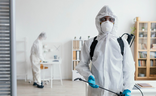 Customized pest control services in Ahmedabad