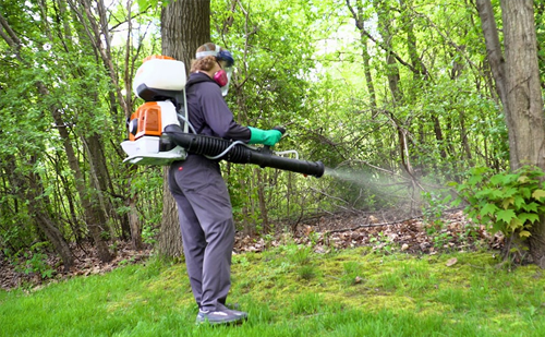 Eco-friendly commercial pest control service Ahmedabad