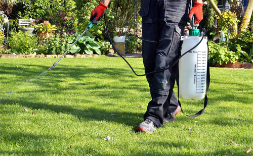 Eco-friendly mosquito control service Ahmedabad