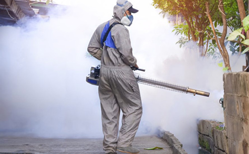 Pest Control Company in Ahmedabad