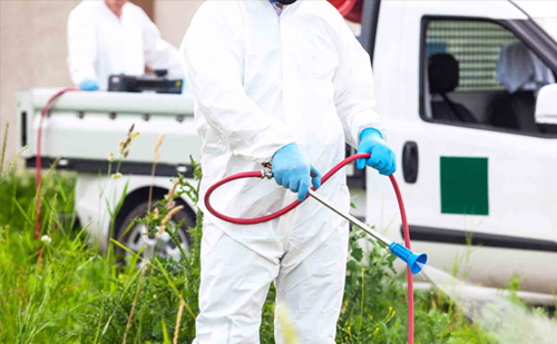 Mosquito control service for residential areas Ahmedabad