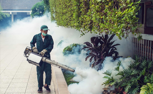 Mosquito fogging service in Ahmedabad