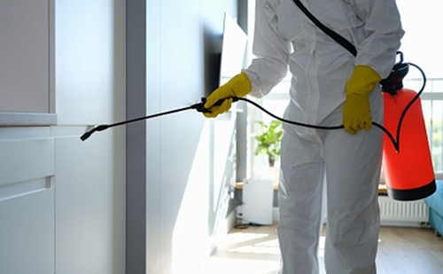 Pest Control Consultancy in Ahmedabad