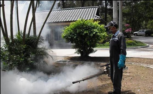 Professional mosquito control service in Ahmedabad