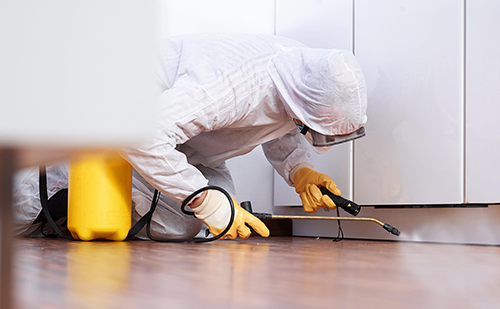 Professional Pest Control Services in Ahmedabad