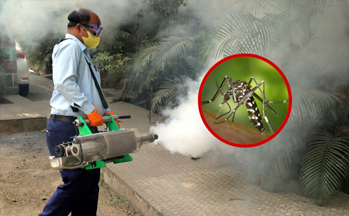 Quick mosquito control service Ahmedabad