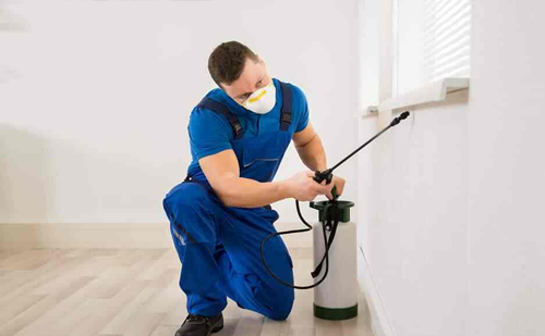 Termite control service for furniture Ahmedabad